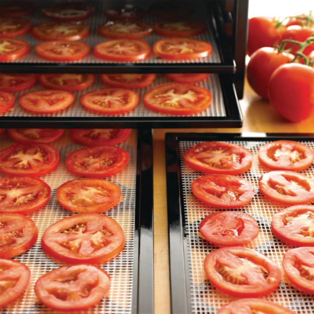 Excalibur 9 Tray Dehydrator (EXC-4900B) I Buy Online